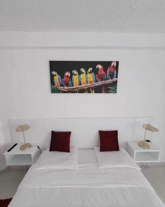 Hello Guyane, Suite Collection  Cayenne Exterior foto