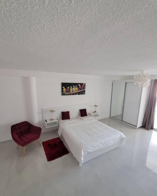 Hello Guyane, Suite Collection  Cayenne Exterior foto