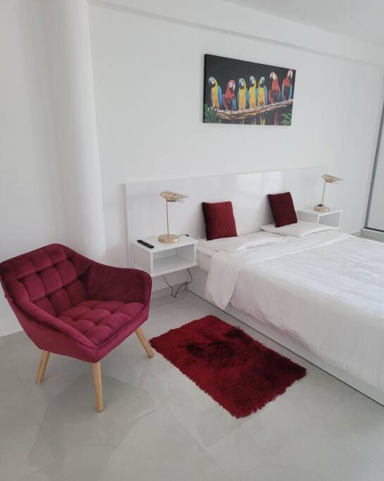 Hello Guyane, Suite Collection  Cayenne Exterior foto