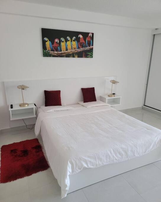 Hello Guyane, Suite Collection  Cayenne Exterior foto